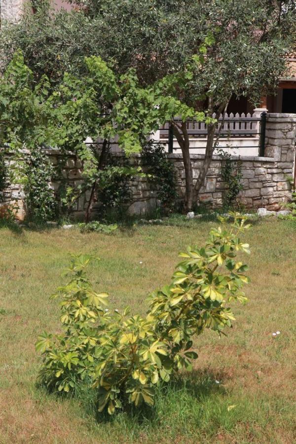 Damaskis Kassiopi Studios Exteriér fotografie